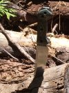 IMG_0223.jpeg