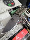IMG_6869.jpeg