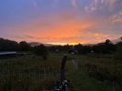 DC58C296-BE96-438C-BEAE-17D3036B7D77.jpeg