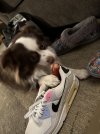 IMG_0747.jpeg