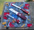 2023-09-14 Red Robeson EJ CASE6215 GEC36.jpg