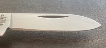 IMG_3888.jpeg