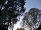 IMG20230918064932.jpg