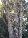IMG20230918085152.jpg