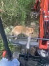 IMG_6927.jpeg