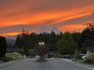 IMG_0340.jpeg