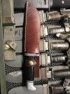 IMG_2070.jpeg