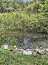 IMG_6274.jpeg