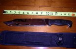ranger bowie 1.jpg