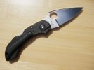 knife folder Spyderco Dragonfly right up.jpg