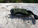 20130911_141131.jpg