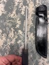 IMG_8518.jpeg
