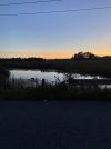 IMG_2241.jpeg