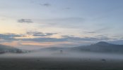 IMG_3180.jpeg