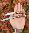 Autumn traditionals Sept 2023''.jpg