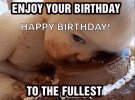 birthday-baby.gif