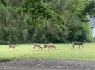 IMG_2342.jpeg IMG_2342.jpeg