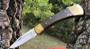 ebony110-6.JPG