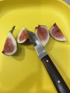 IMG_4204.jpeg