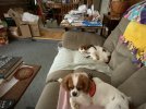 IMG_0463.jpeg
