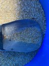 IMG_2310.jpeg