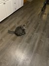 IMG_2324.jpeg