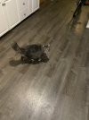IMG_2323.jpeg