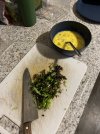 IMG_2321.jpeg