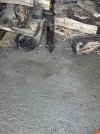 IMG_2349.jpeg