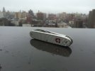 IMG_2412.jpeg