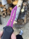 IMG_2027.jpeg