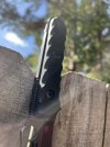 IMG_2018.jpeg