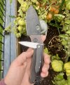 IMG_3129.jpeg