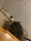 IMG_2448.jpeg