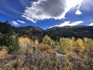 IMG_2877.jpeg