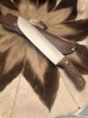 IMG_0837.jpeg