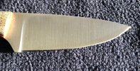 IMG_2736.jpeg