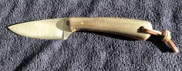 IMG_2733.jpeg
