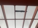 IMG_7242.jpeg
