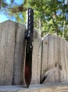 IMG_2096.jpeg