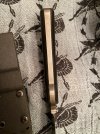 IMG_3973.jpeg
