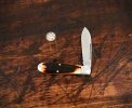 2016-tuna-teardrop-amber-01lo.jpg