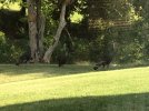 IMG_1178.jpeg