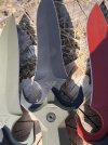 IMG_2111.jpeg