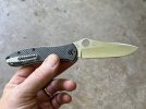 IMG_2908.jpeg