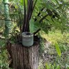 IMG_0639.jpeg