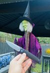 IMG_6627.jpeg