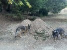 IMG_6783.jpeg