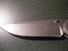 SDC13255.jpg