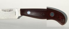 maroon magnified.jpg
